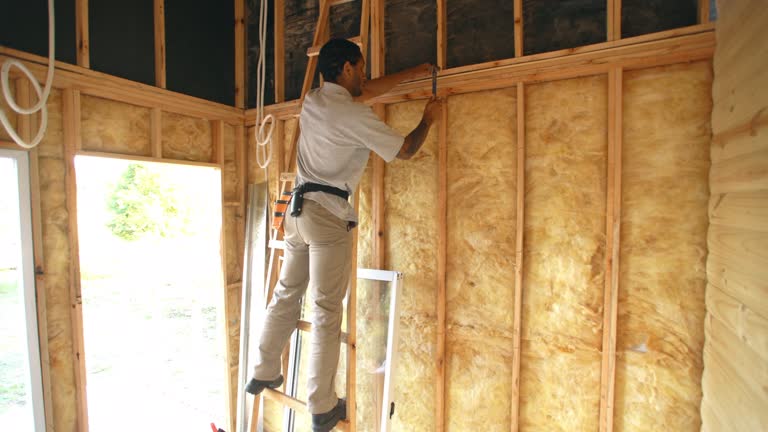 Best Basement Insulation  in St Maries, ID